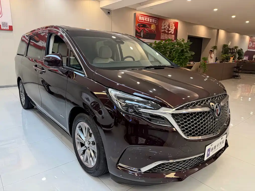 Buick GL8 — миниатюра 3