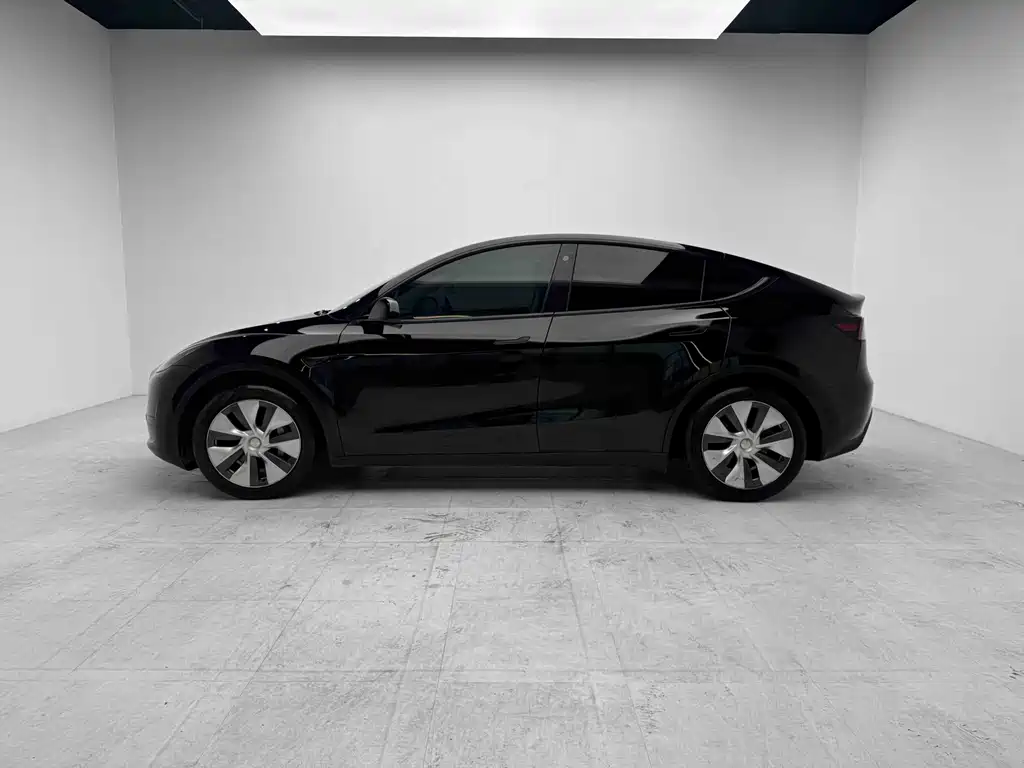 Tesla Model Y — миниатюра 2