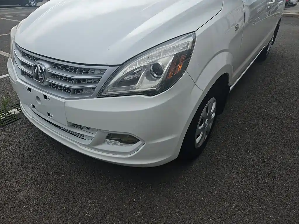 BAW Weiwang M20 — миниатюра 3