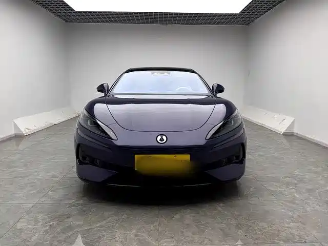 Denza Denza Z9 — миниатюра 2