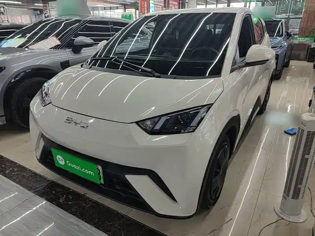2025 BYD Seagull