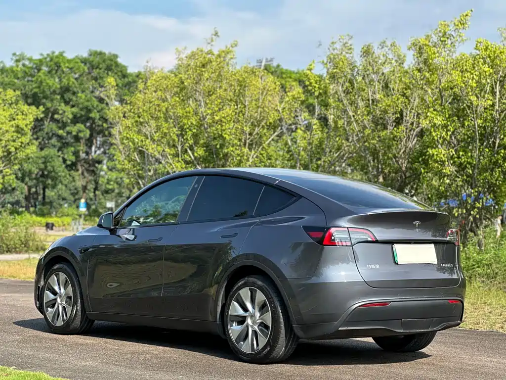 Tesla Model Y — миниатюра 9