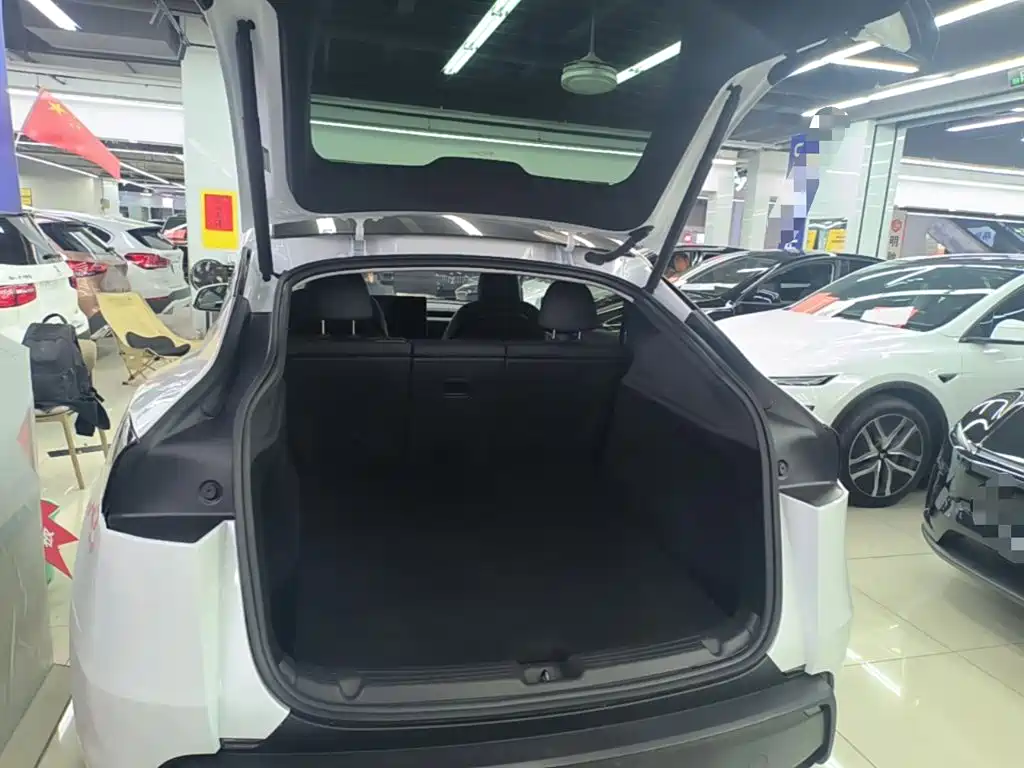 Tesla Model Y — миниатюра 19