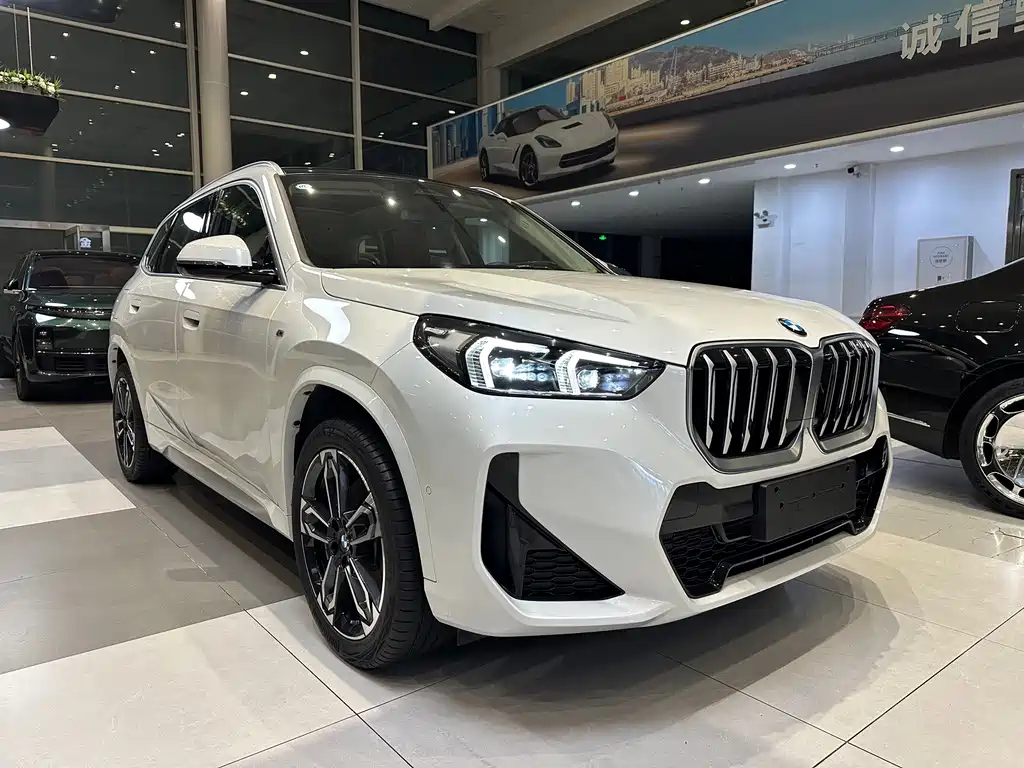 BMW X1 — миниатюра 3