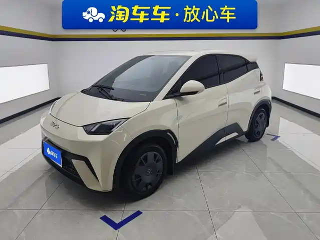 2024 BYD Seagull
