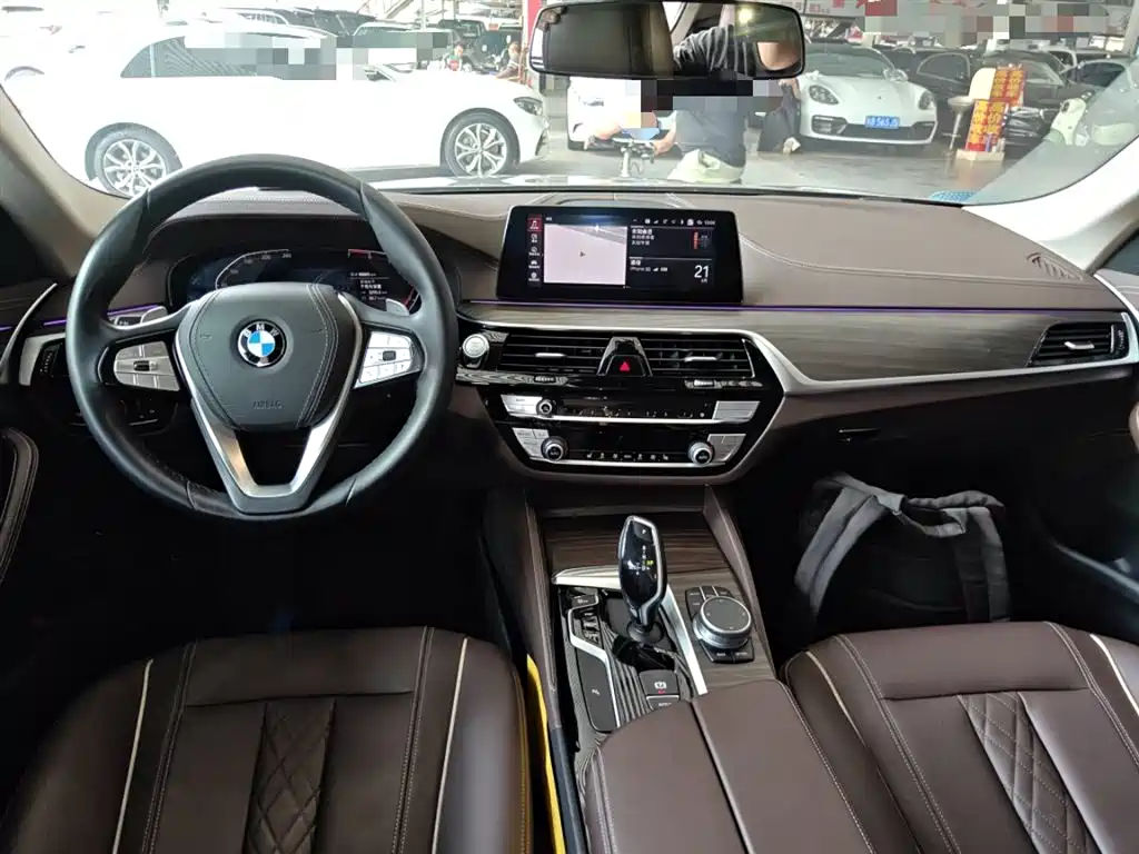 BMW 5 Series 5 2020 530Li Lead Luxury
