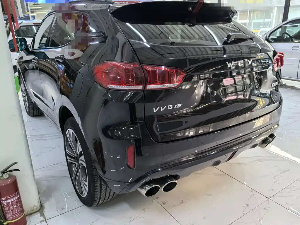 WEI PAI WEI BRAND VV5