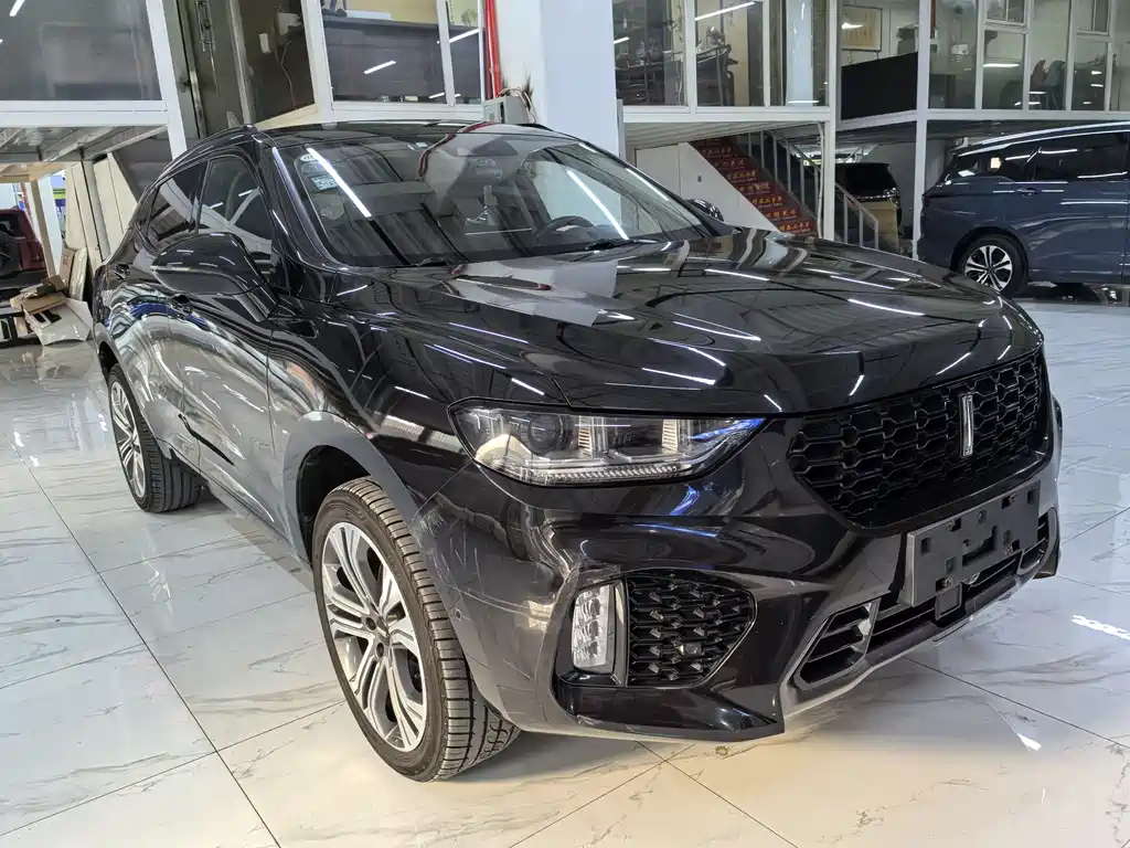 WEI PAI WEI BRAND VV5