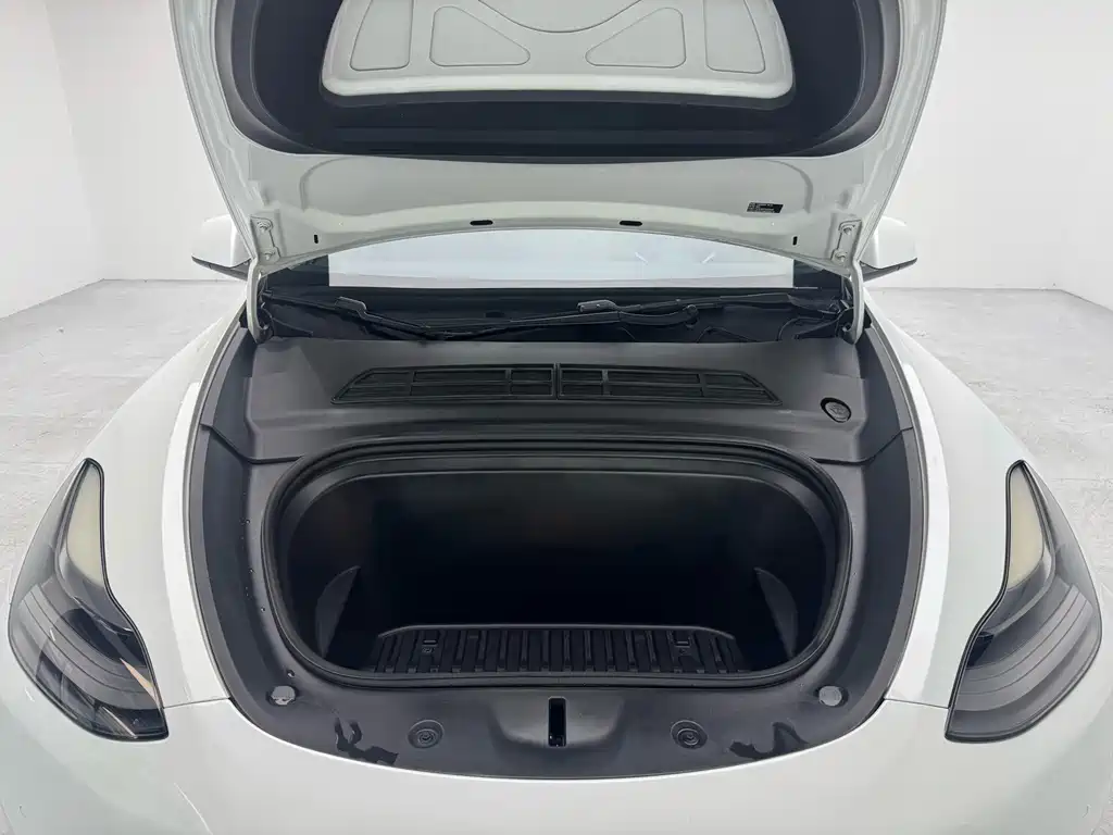 Tesla Model Y — миниатюра 9