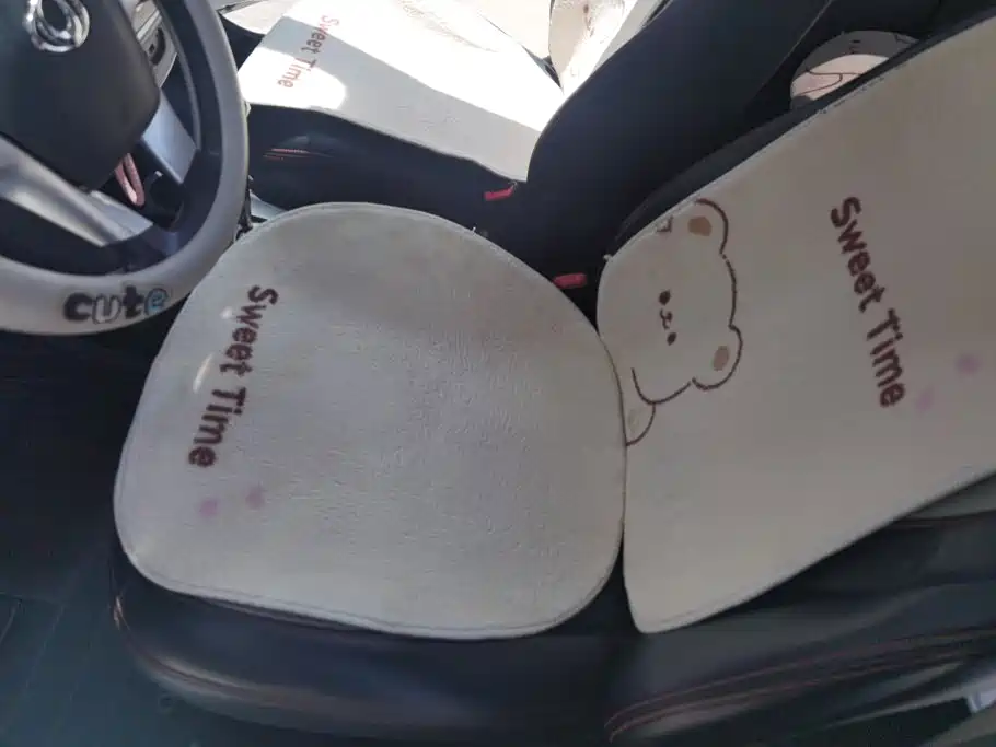 Geely Panda Classic — миниатюра 9