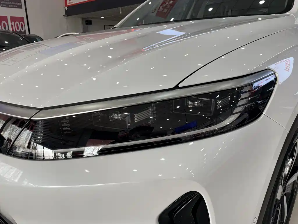 BYD SEA LION 05 DM I