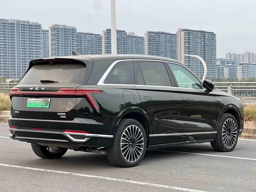 Wey Wey Lanshan — миниатюра 7