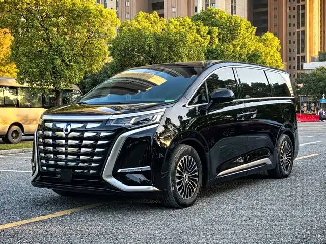 2024 Denza D9
