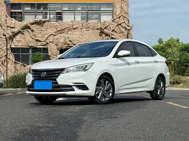 CHANGAN YIDONG DT 2019