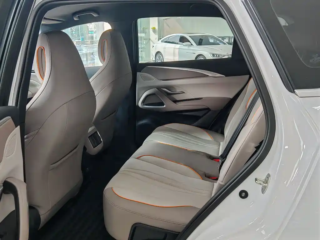 BYD Pro New Energy — миниатюра 10