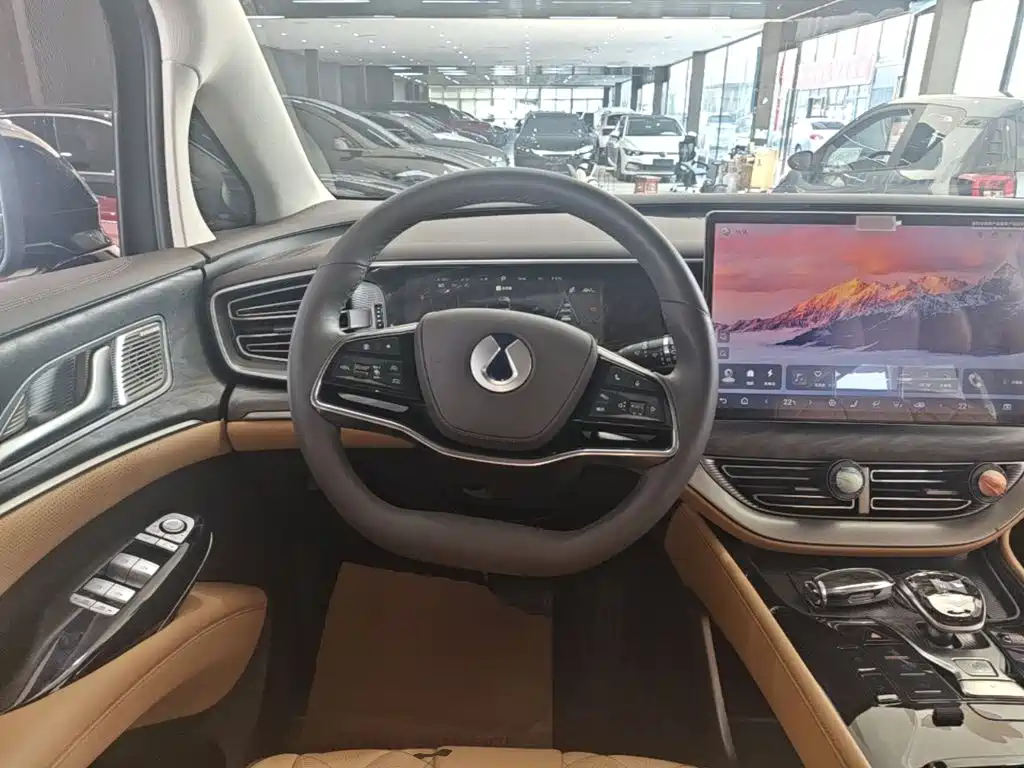 Denza Denza D9 — миниатюра 11