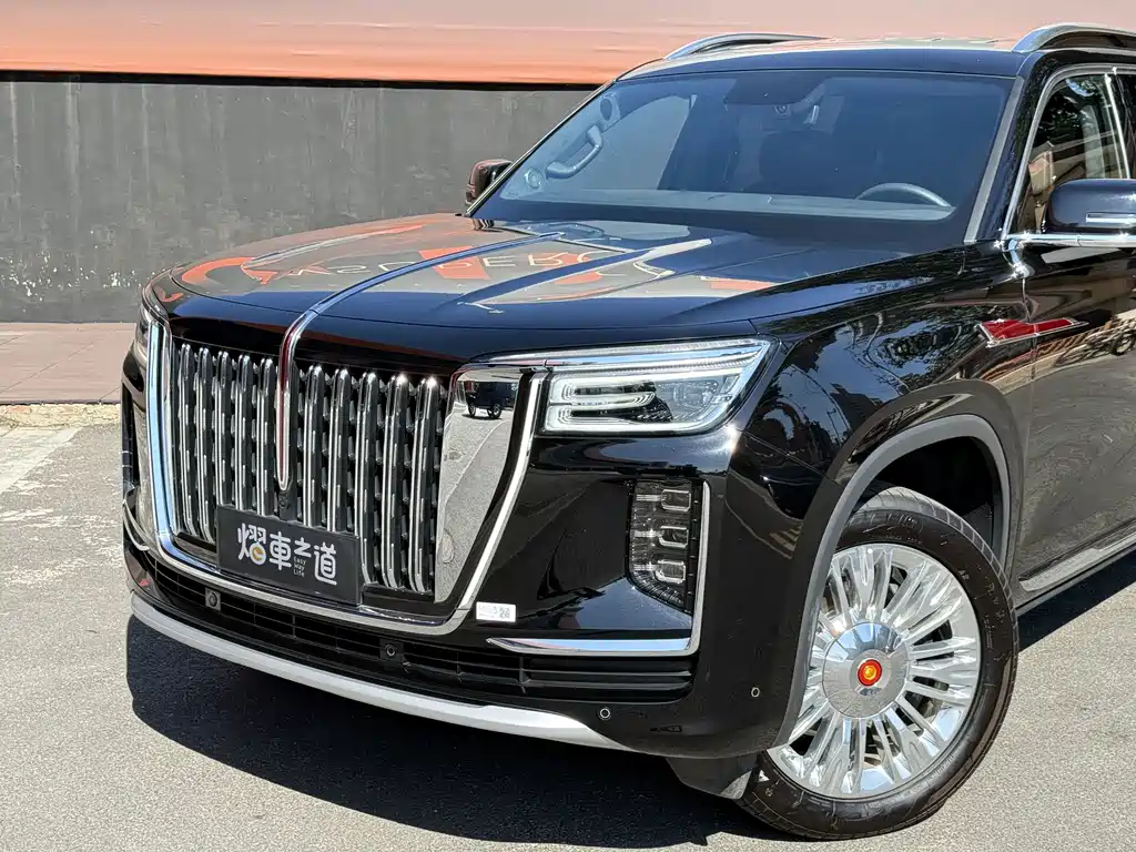 Hongqi Hongqi Golden Sunflower Guoyao — миниатюра 26