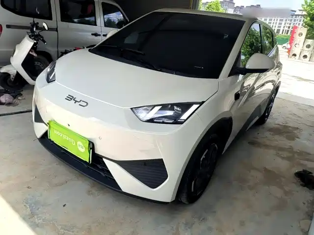 2025 BYD Seagull