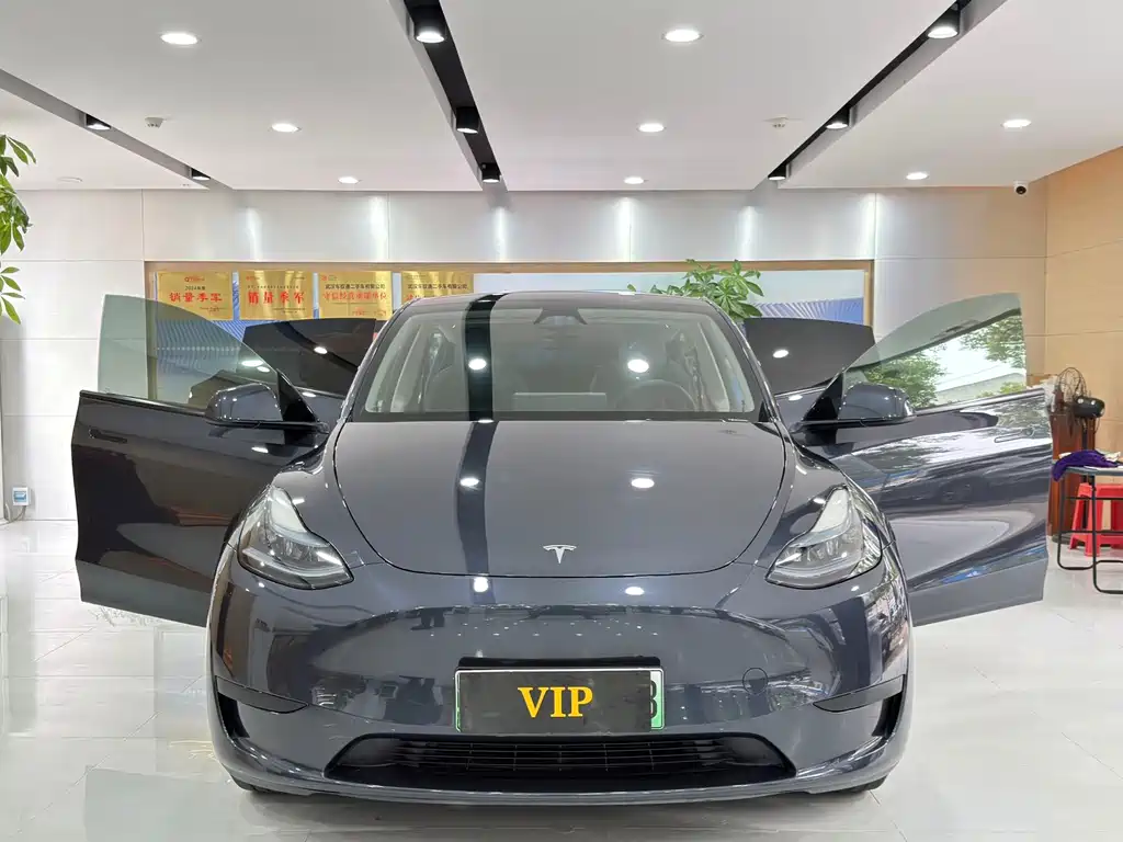 Tesla Model Y — миниатюра 16