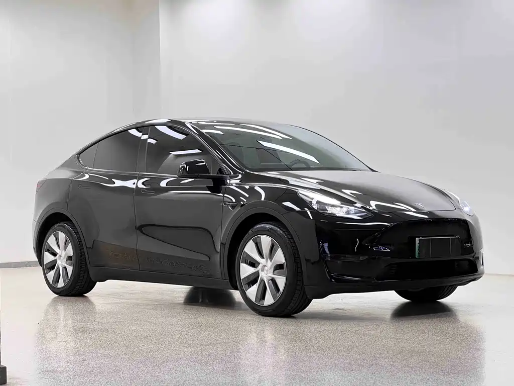 Tesla Model Y — миниатюра 3