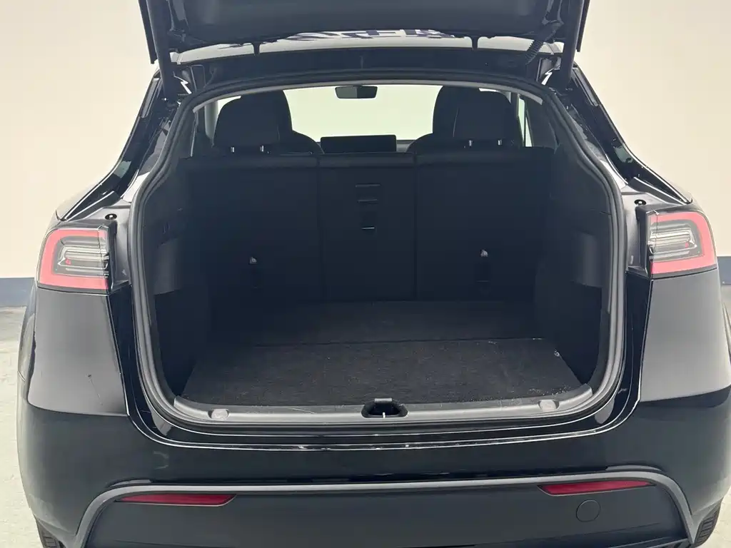 Tesla Model Y — миниатюра 21
