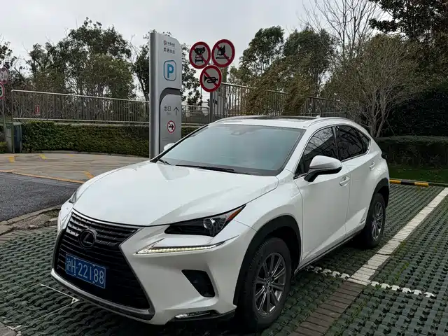 LEXUS NX 2020