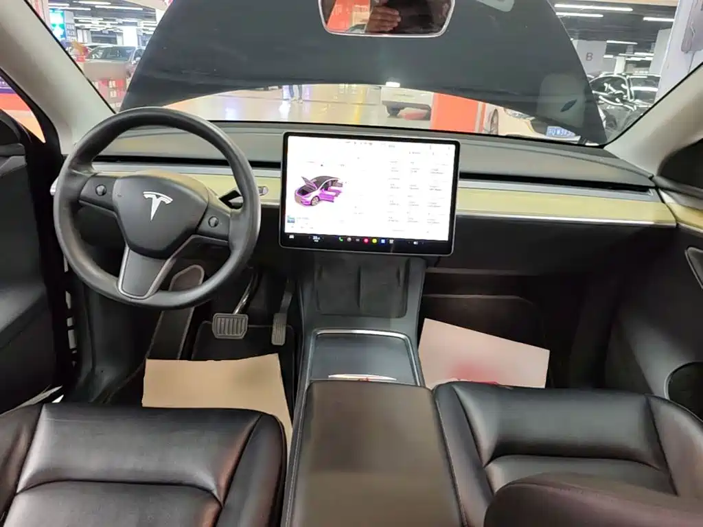 Tesla Model Y — миниатюра 10