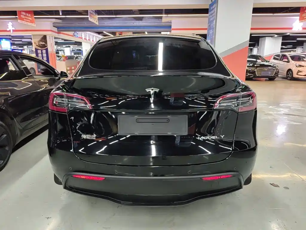 Tesla Model Y — миниатюра 6