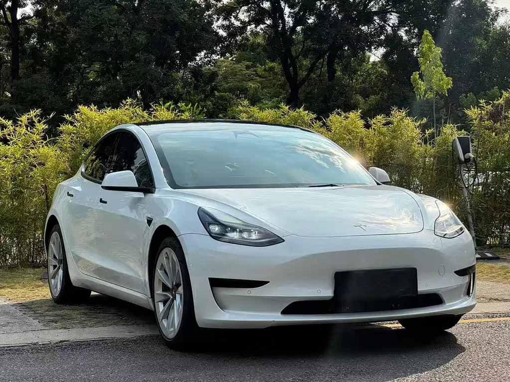 Tesla Model 3 — миниатюра 3