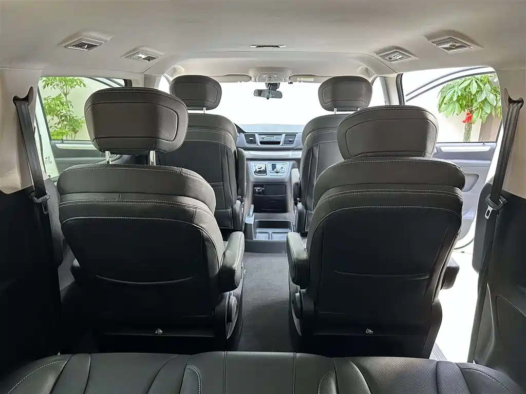 SAIC MAXUS CHASE G20