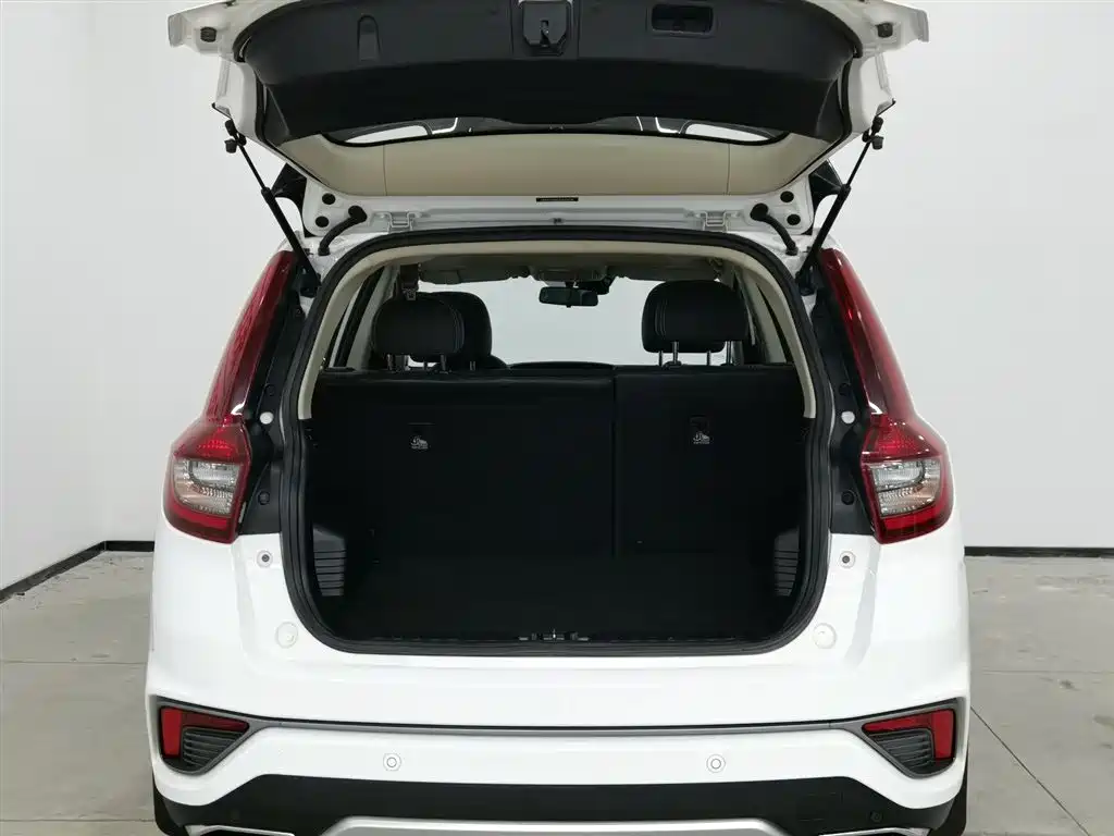 GEELY AUTOMOBILE VISION X6