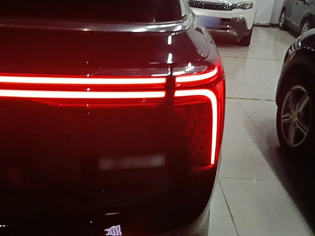 Hongqi E-HS9 2021 510km мест