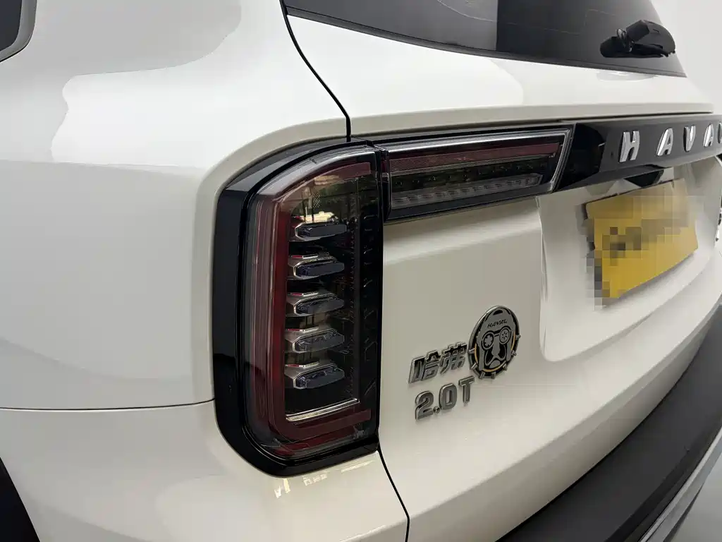 Haval Big Dog — миниатюра 11