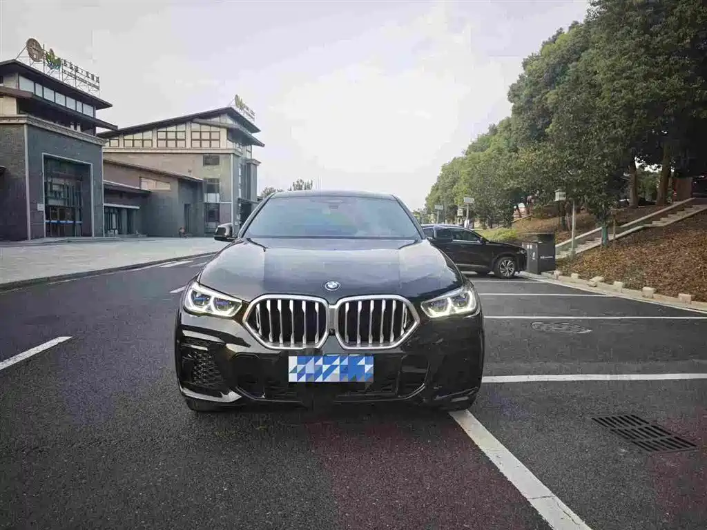 BMW X6 — миниатюра 2