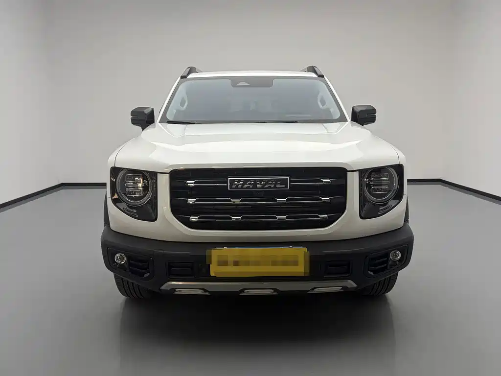Haval Big Dog — миниатюра 2