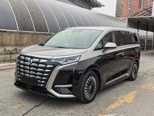 2024 Denza D9