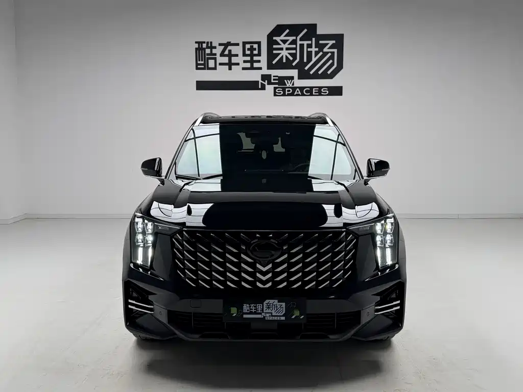 GAC Motor GS8 Navigator Series 2.0TGDI 2WD Luxury Connected Edition 7 seats, фото 2