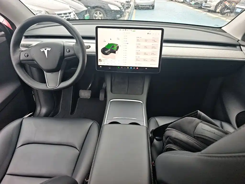 Tesla Model Y — миниатюра 10