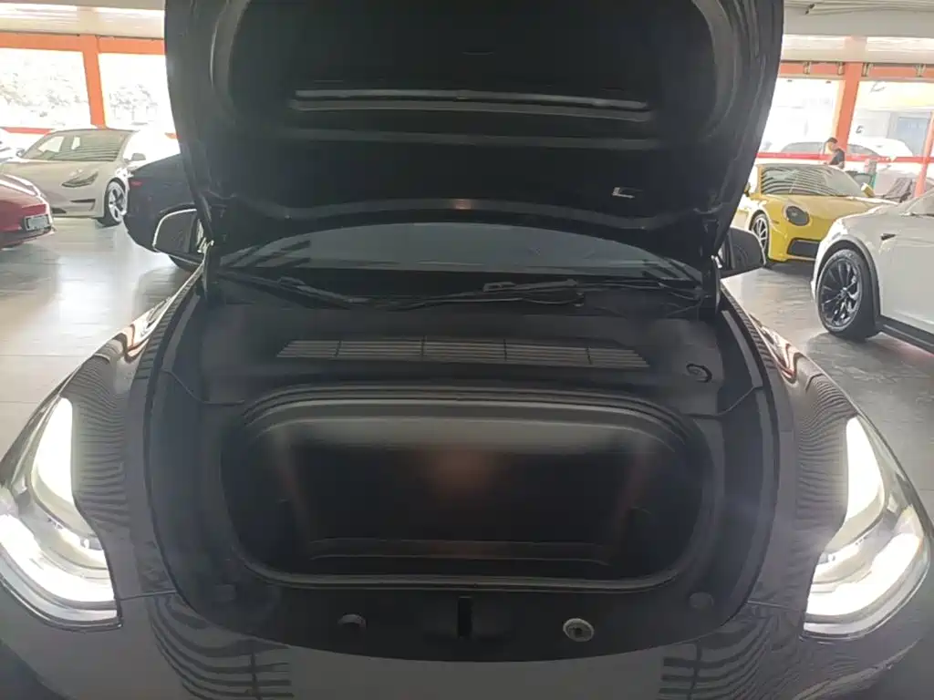 Tesla Model Y — миниатюра 20