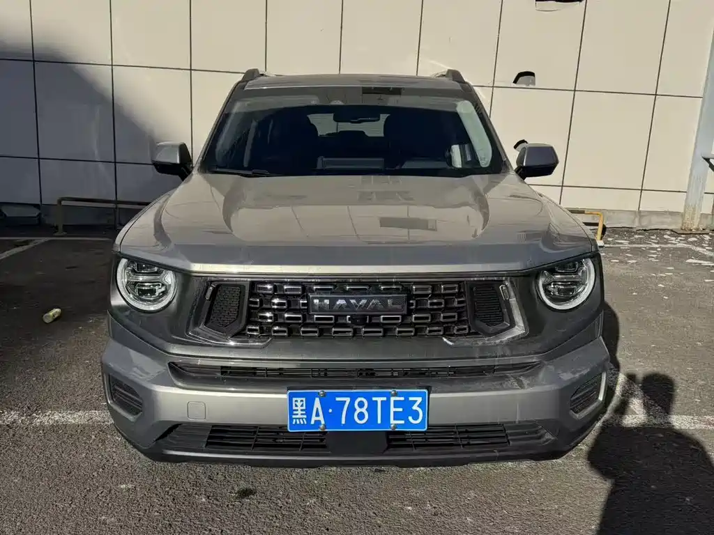 Haval 哈弗大狗 PLUS 2024