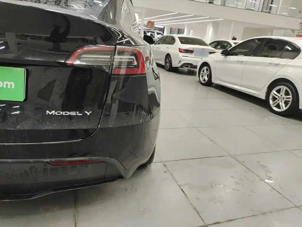Tesla Model Y — миниатюра 8