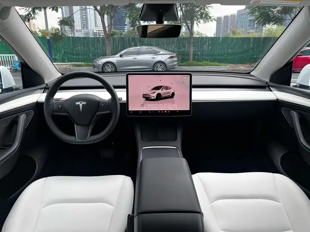 Tesla Model Y — миниатюра 5