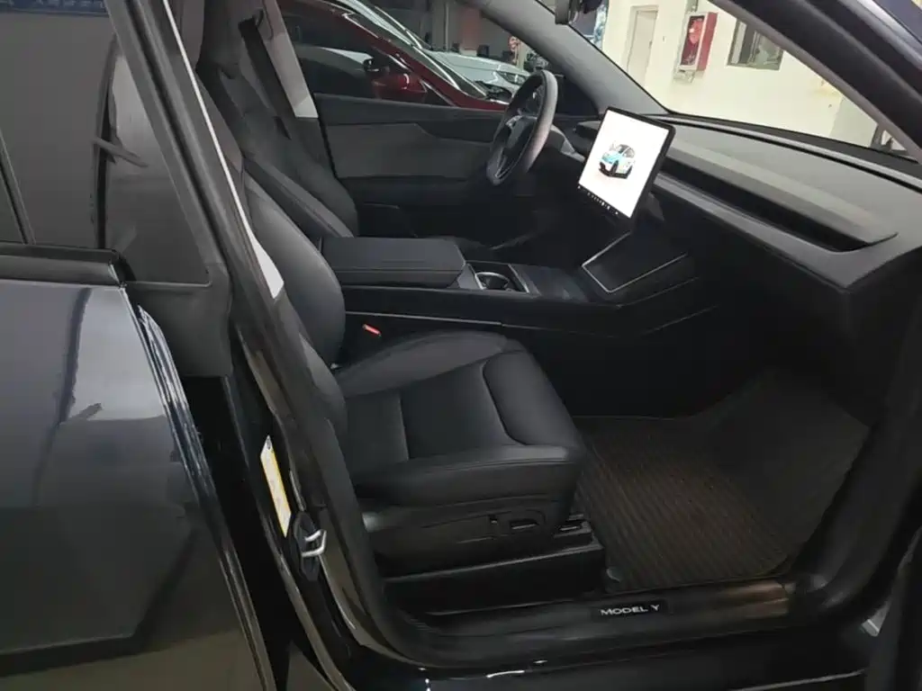 Tesla Model Y — миниатюра 25