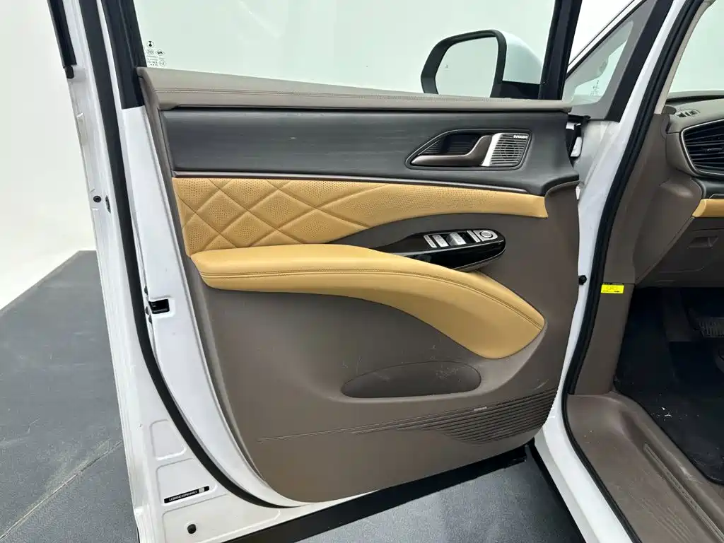 Denza Denza D9 — миниатюра 11
