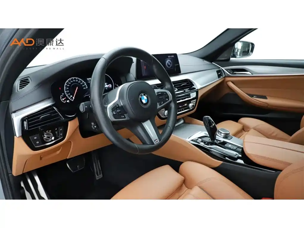 BMW 5 Series 5 2019 525Li M Sport