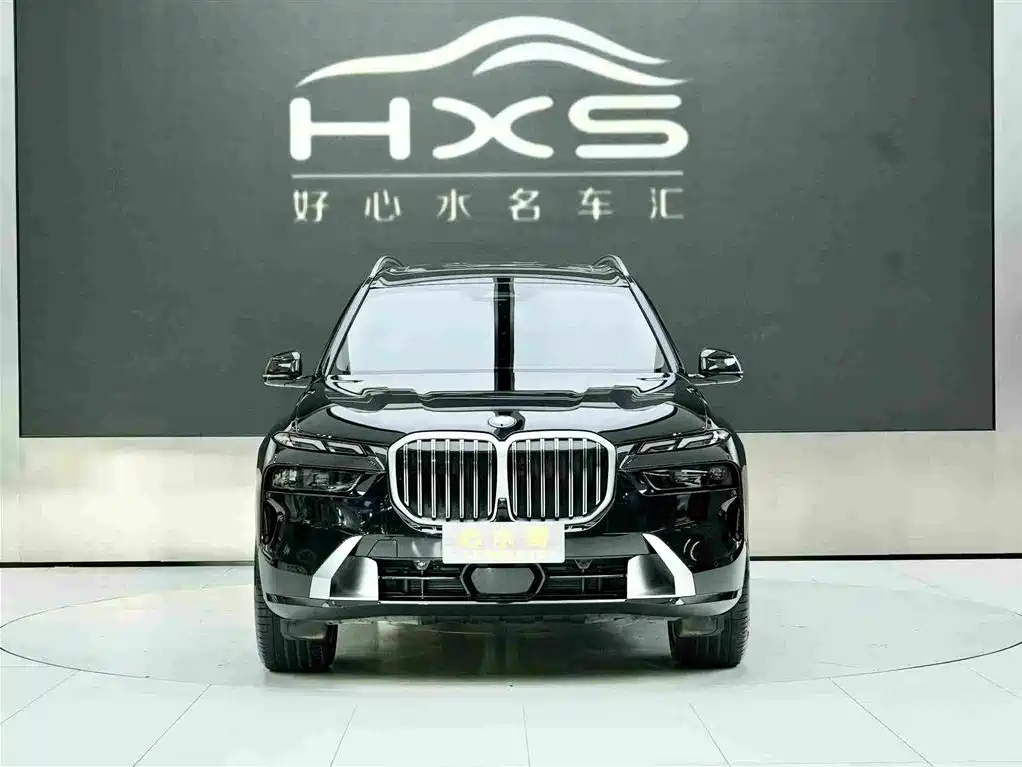 BMW X7 — миниатюра 2