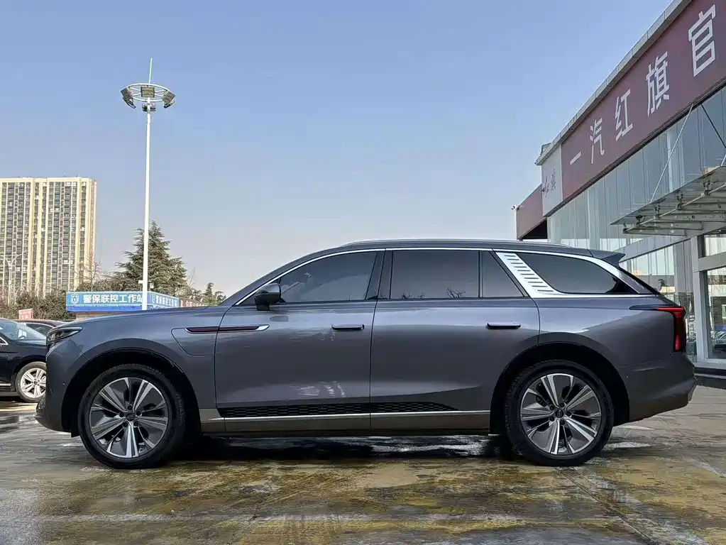 Hongqi Hongqi E-HS9 — миниатюра 14