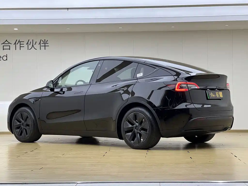 Tesla Model Y — миниатюра 21