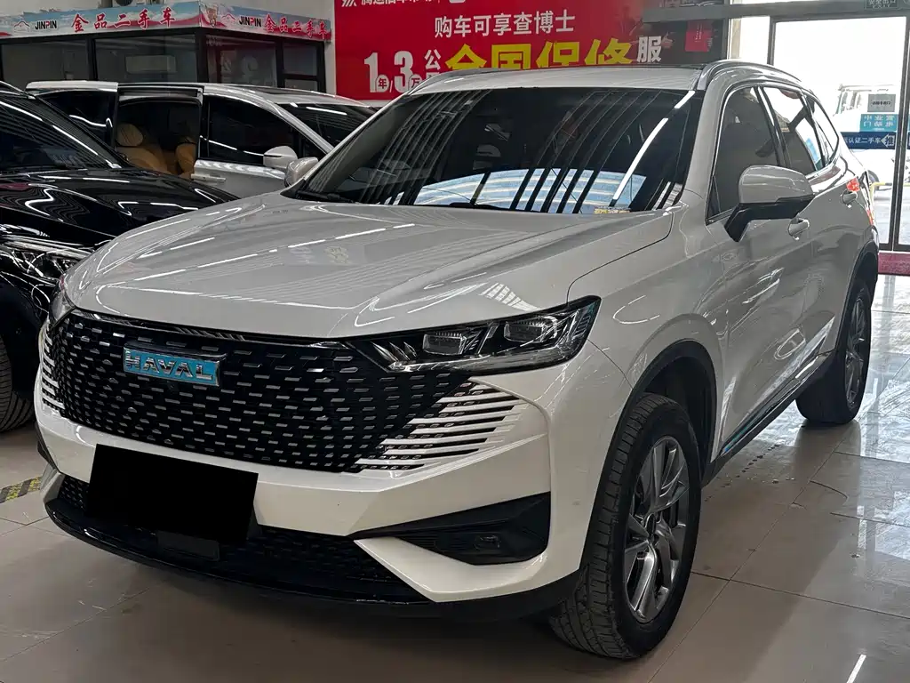 Haval H6 New Energy 2022
