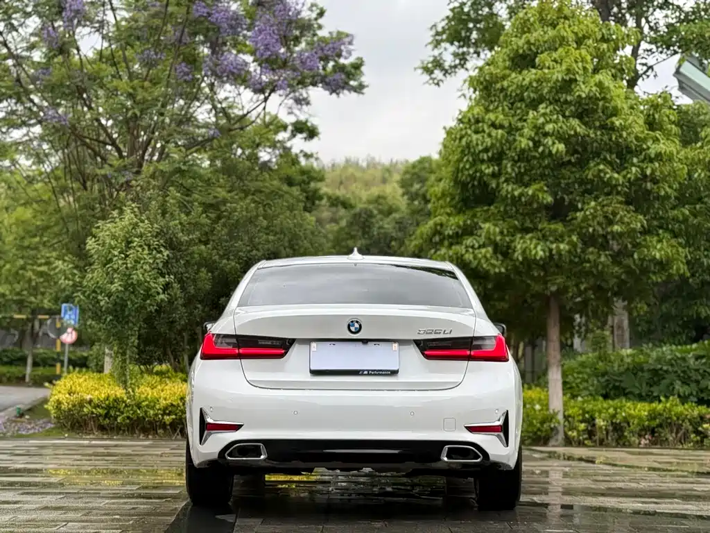 BMW 3 Series 3 2020 325Li